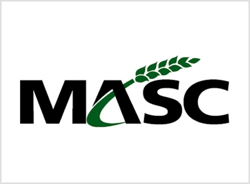 MASC